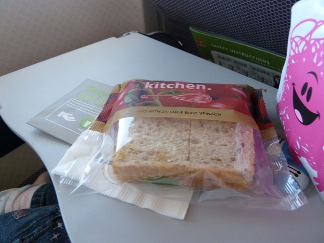 国内線とは言え、3時間以上のフライト。軽食としてサンドイッチが提供されました。<br /><br />私はあまり抵抗ありませんでしたが、嫁子どもの口には合わなかったようです。<br /><br />ちなみに、サンドイッチの隣には↑と違う種類のケースに入った色鉛筆。