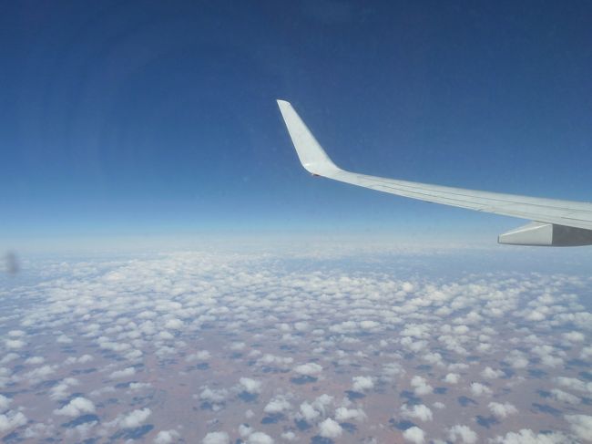 さて、上空からの景色ですが、ひたすら陸地の上を飛んでいるわけですから、こんな景色や