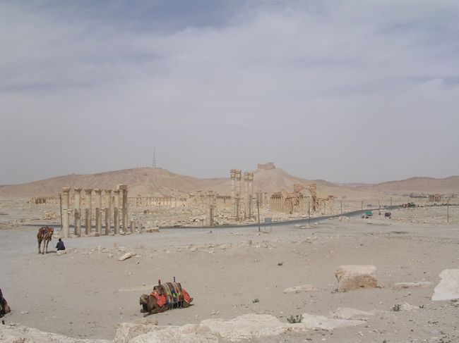 アレッポを後に、一気にパルミラへ。パルミラの遺跡は、復元と観光地化が進む。