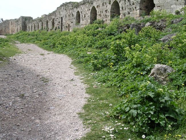 クラック・ドゥ・シュパリエ内部