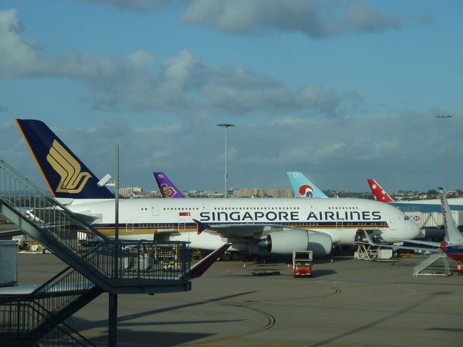 搭乗ゲートに着いたものの、まだ開いておらず待合で待機。その間に飛行機好きの私は他のゲートを歩いて回り、色々な国の色々な飛行機を写真に収めてきました。<br /><br />こちらにはシンガポール航空のA380、その奥にはタイ国際航空、大韓航空、バージン・オーストラリア航空。