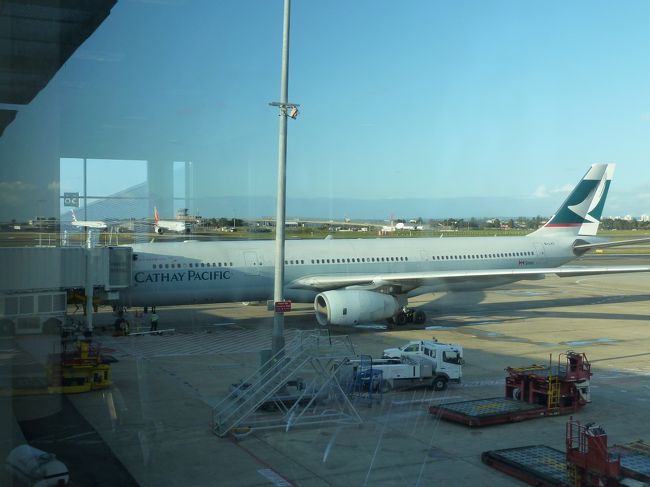 こちらはキャセイ・パシフィック。その奥に、ブリティッシュ・エアウェイズとアシアナ航空がいます。<br /><br />他にも、デルタ航空、ユナイテッド航空、エアー・カナダ、ジェット・スター航空など、ワクワクしました。