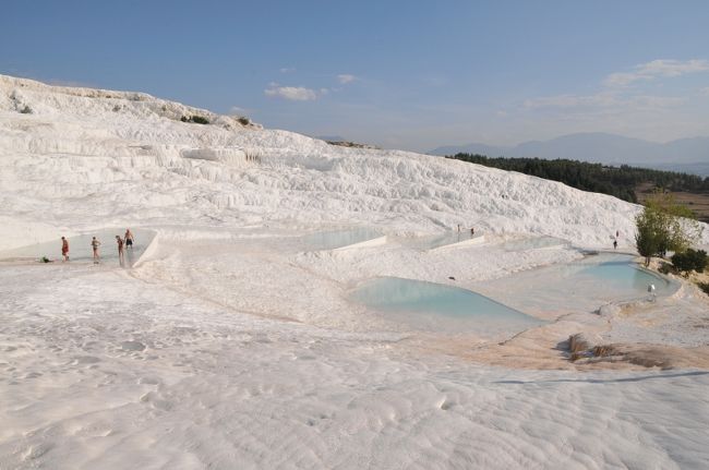 シルバー製トルコ石装飾バッタ