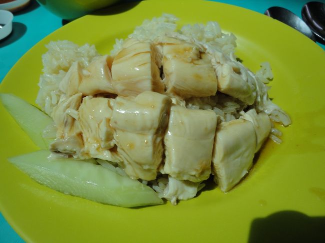 チキンがやわらかく美味しかった♪