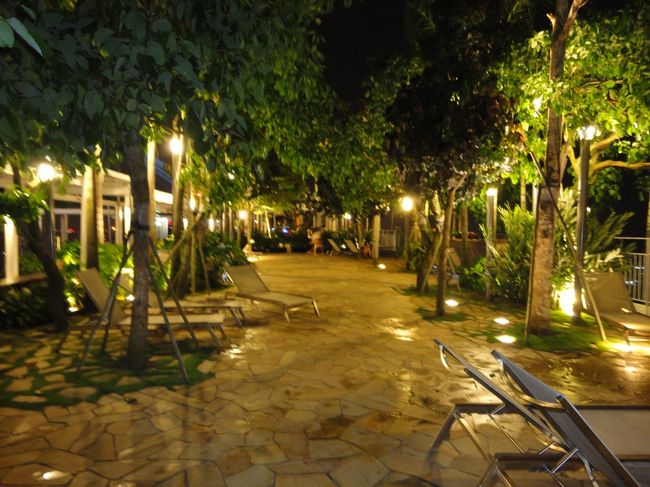 ２３時で終了！やっぱり、深夜のプールは寒い。<br />結局ジャグジーにも浸かれず、部屋に戻り<br />だけど、バスタブに浸かり体を温められたので良かった♪