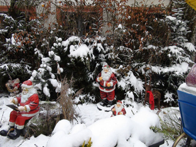 バンベルク　小レストラン前のクリスマス飾り