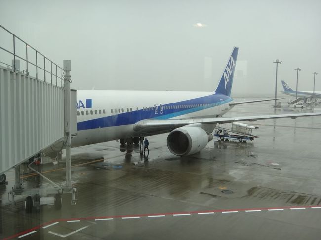 ANA561便8：05発にて高知へ<br /><br />相変わらずこの時間帯の羽田空港は<br />出発ラッシュで離陸まで時間がかかります・・・