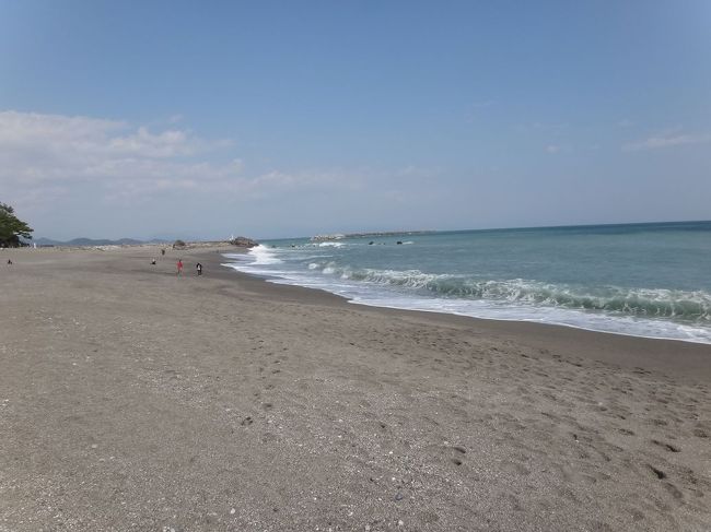 【桂浜】<br /><br />（波打ち際へ）<br />行きたいと、駄目のせめぎ合いの結果・・・