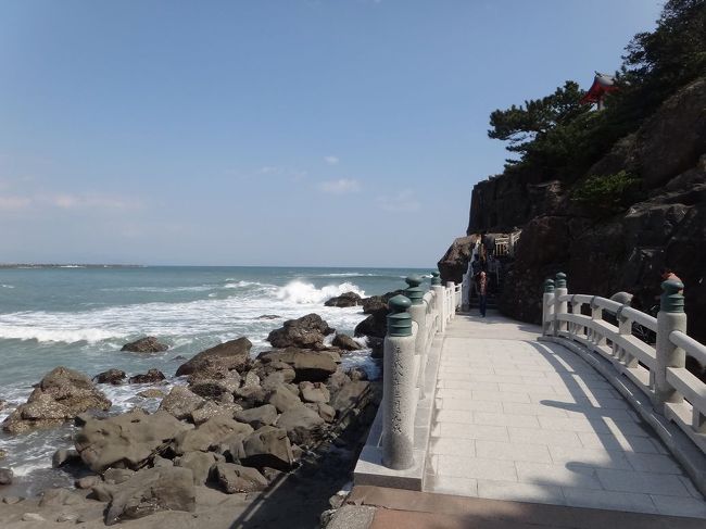 【桂浜】<br />高台にも上ってみますか？