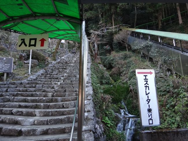 【龍河洞】<br /><br />長ーい階段ｏｒエスカレータで入口へ