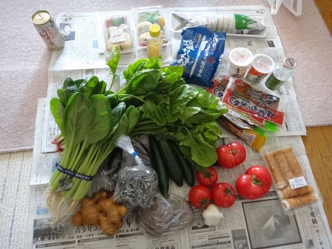 買いも買ったり<br /><br />高知みやげ<br />（というより今週の食料？）