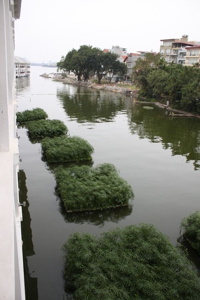 朝ベランダから出て写した写真なので一つ前の友達の部屋からのほうが景色がよかったのだと分かった次第です。