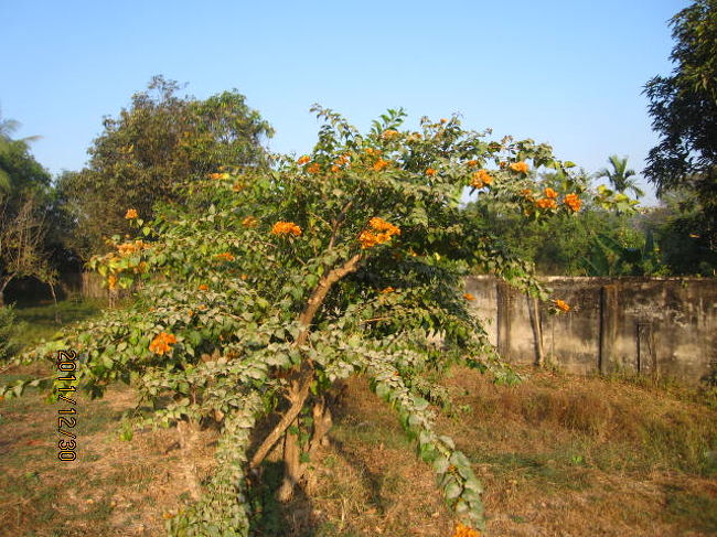 この国でも仏教は人々の生きるよすがとなっている。