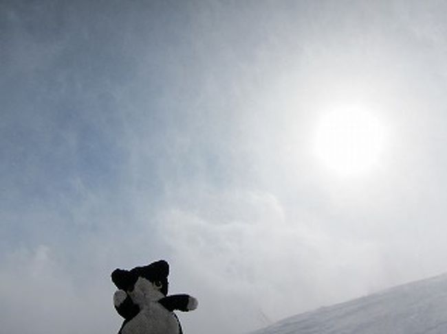 風が強くて、雪が舞い上がってます。<br />雲の中を滑っているみたい。