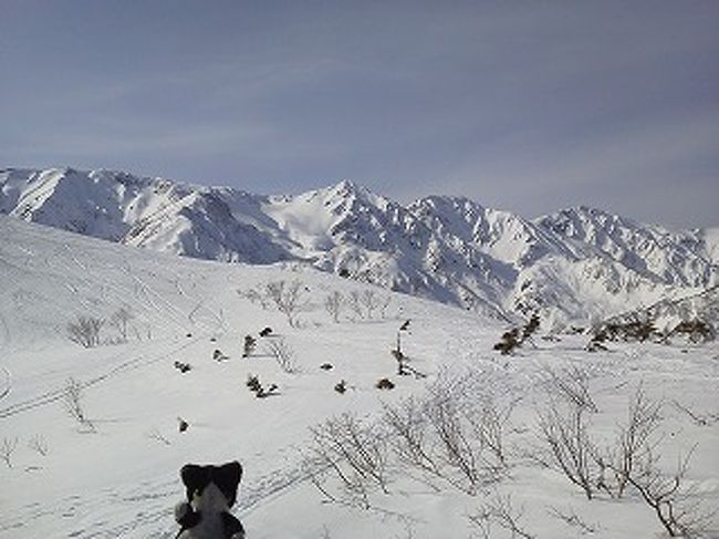 午後の方が、陰影がはっきりしてカッコよく見えます。