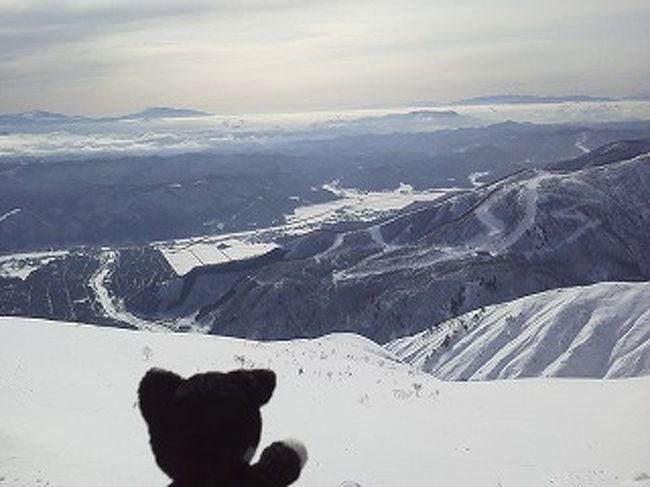 朝イチの景色。<br />雲海がほんのり桜色しています。