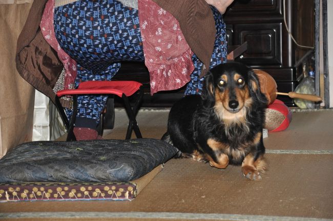 家に帰ると我が愛犬が・・・ww