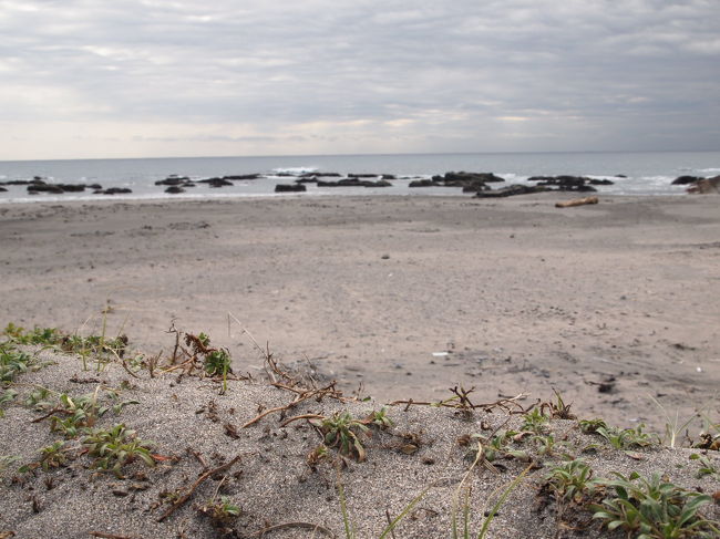 しばらくボケ〜っと海を眺めて、再び出発。
