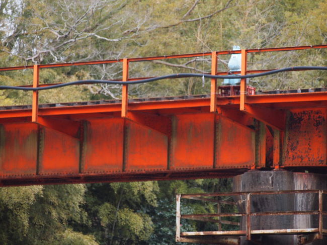 いすみ鉄道沿いに車を走らせていたら<br />鉄橋に何かいる･･･。