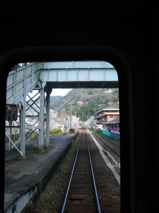 電車の最後尾から。<br />1時間の笠置滞在はこれにて終了です。<br />周辺の桜は大したことないので、電車と一緒にでないとあまり価値がないかな？<br />運賃は、奈良駅で無事精算できました。