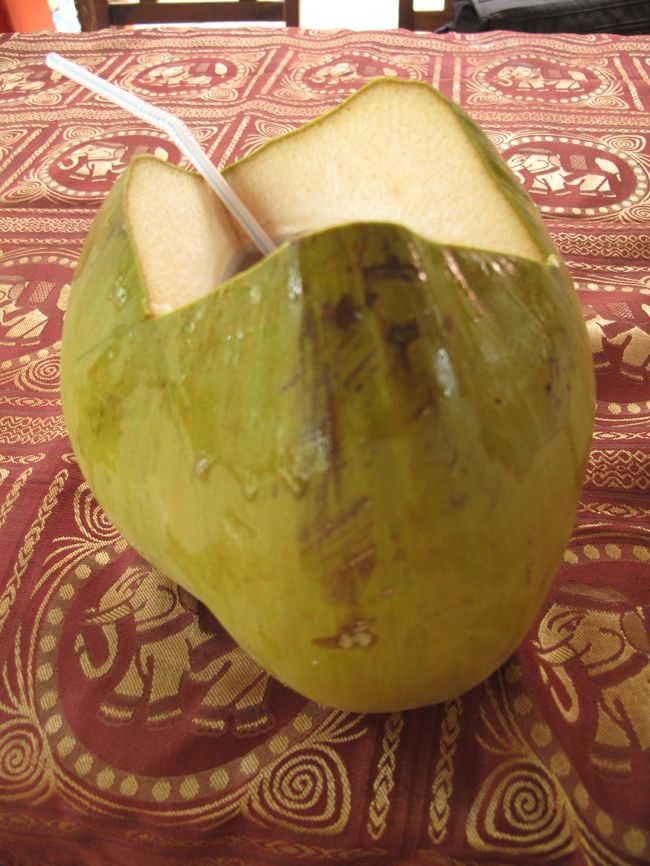 念願のココナツジュースを飲む。<br />…たいしておいしくなかった。<br />とにかく味が薄い。<br />