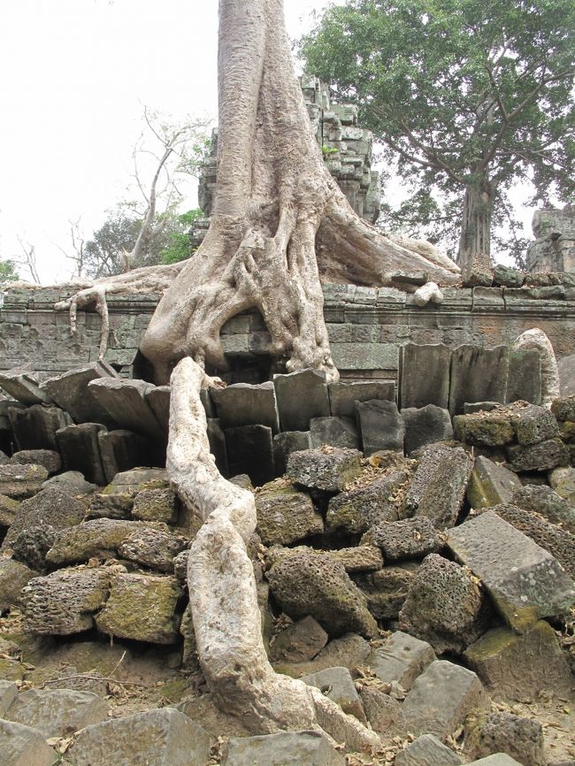 遺跡がなぎ倒されている。
