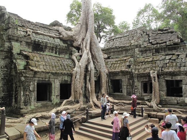 みなさん写真をとりまくりです。