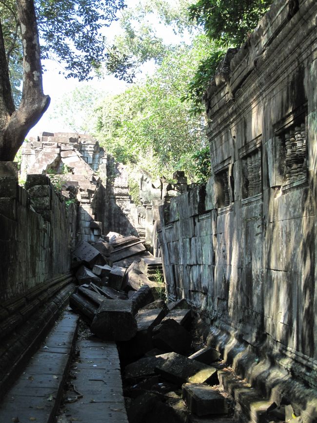 こういう風情は確かに良い。