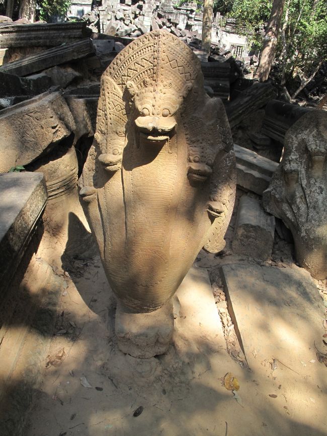 ただ一体残ったナーガ。<br />