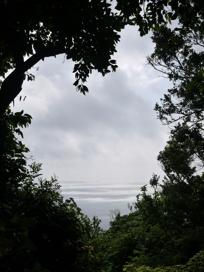 【2日目　ぼんやりｳﾛｳﾛﾁｰﾑ】<br /><br /> 8:00　ﾀﾞｲﾋﾞﾝｸﾞﾁｰﾑお送り<br /> 9:00　斎場御獄（ｾｰﾌｧｰｳﾀｷ）<br />10:00　ｶﾌｪくるくま<br />11:00　沖縄文化村<br />12:00　海中道路ﾄﾞﾗｲﾌﾞ<br />14:00　CAFE　がらまんじゃく　でランチ<br />　　　 TEL　098-968-8846<br />　　　 住所　金武町字金武10507-4<br />       営業時間　11:30〜18:00<br />　　　 定休日　火曜日<br />15:00　山城紅茶<br />　　 　http://www.okinawanokocha.com/index.html<br />18:00　ﾀﾞｲﾋﾞﾝｸﾞﾁｰﾑお迎え<br />19:00　ﾎﾃﾙ<br />20:00　ホテルで夕食