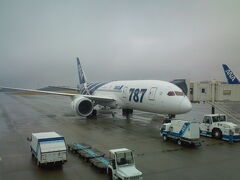 JAL便で羽田から岡山に到着。到着後、ANAの787を発見。
