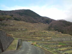 続いては中山千枚田へ。田植え後の方がきれいなのでしょうね。