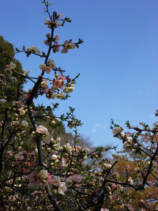 青空をバックに、はいチーズ♪