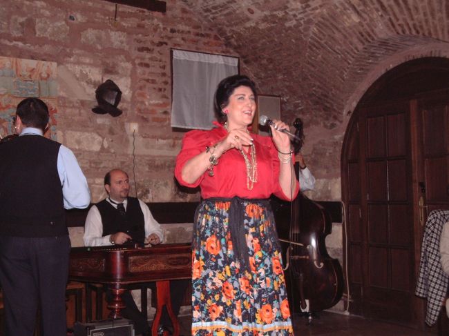 同上、帰りはブダペスト空港からウィーンに行って、日本に帰りました。