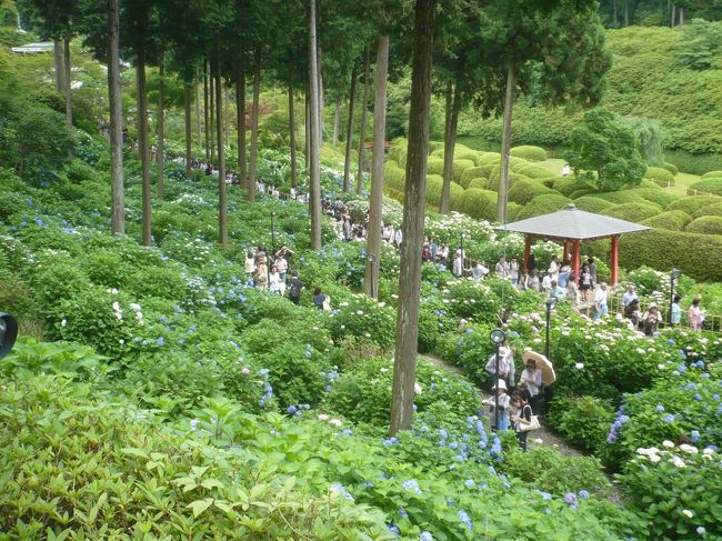 写真の左上が入り口のようです．