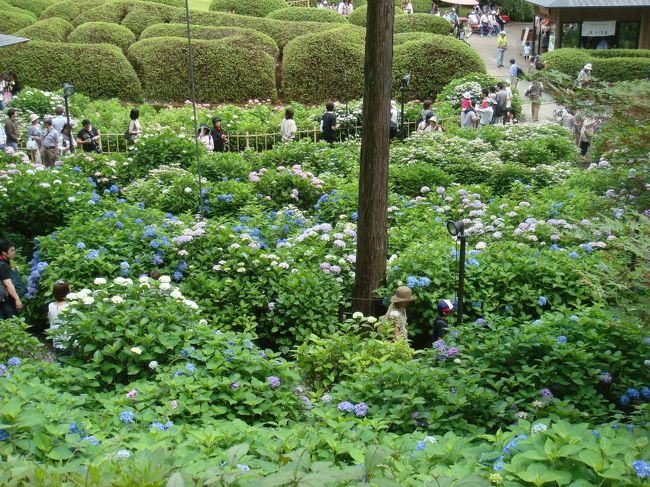 上からの眺め．<br />きれいです．