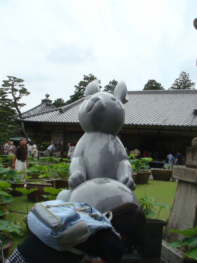 うさぎが抱いている玉の中に，卵形の石があるそうで，それを立てられれば願いが通じるのだそうです．<br /><br />この他にも『宝勝牛』もありました．（写真取り忘れ…）