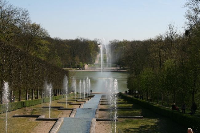 ソー公園の桜はあと少し!/ Parc de Sceaux, France