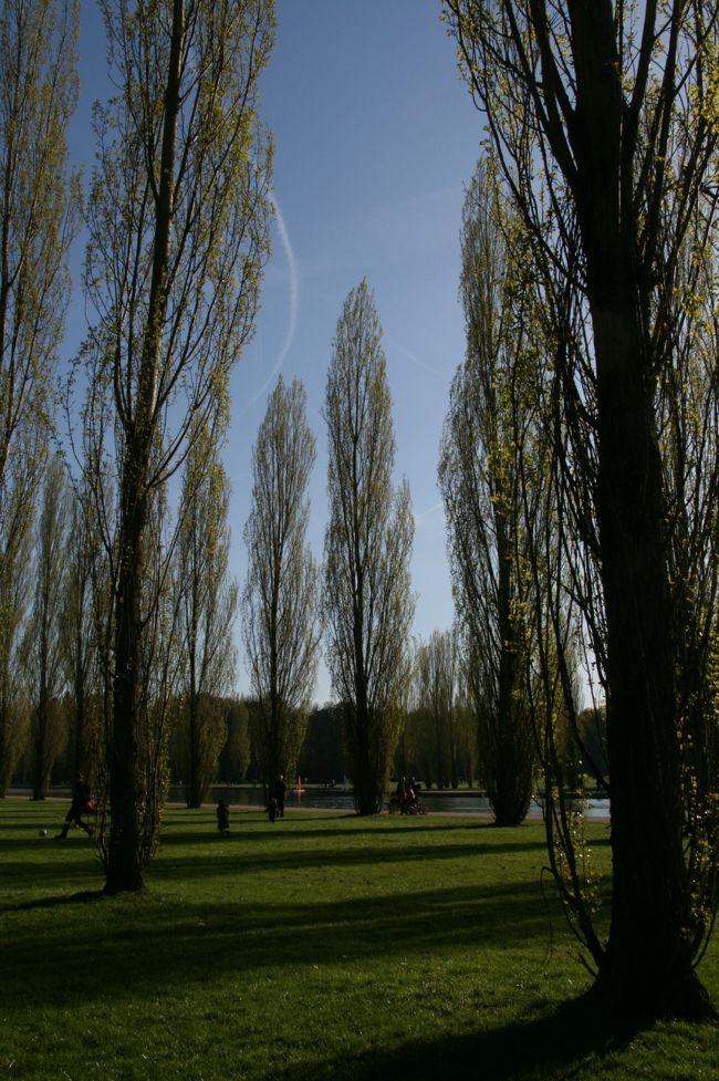 ソー公園の桜はあと少し!/ Parc de Sceaux, France