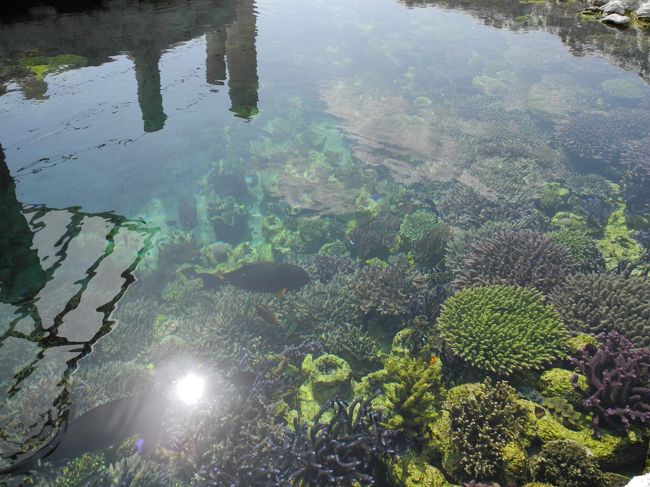 とっても癒されました〜