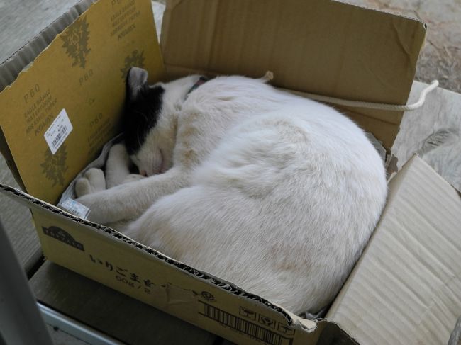 きもちよさそう〜