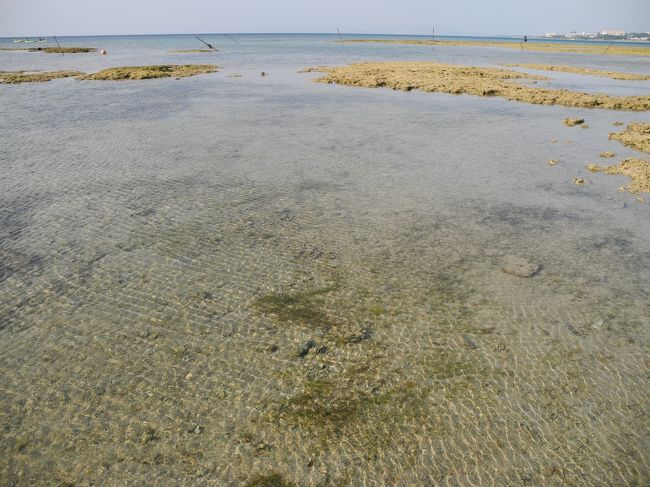 綺麗〜<br />ちょうど潮がひいてるみたい。