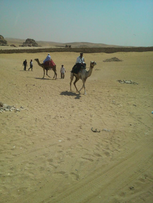 いくらで乗れるのかな。<br /><br />騙されそうで怖いな。