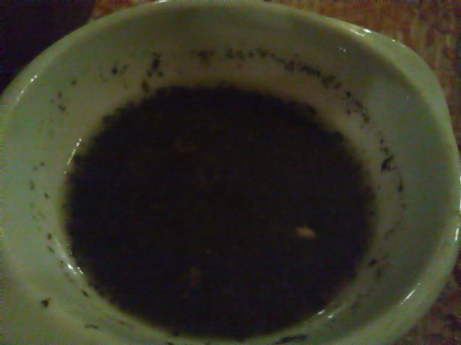 これはいったい何？<br /><br />墨汁か？