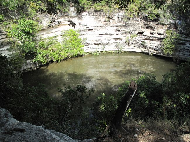 少し歩いてグラン・セノーテまで行く。<br />きれいな円形をしている。<br /><br />あたりは木陰があり、休んでいる人も多い。<br />