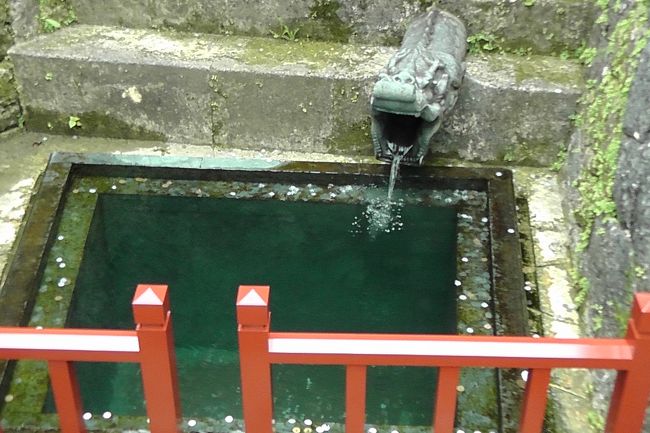 井戸だったんでしょうか