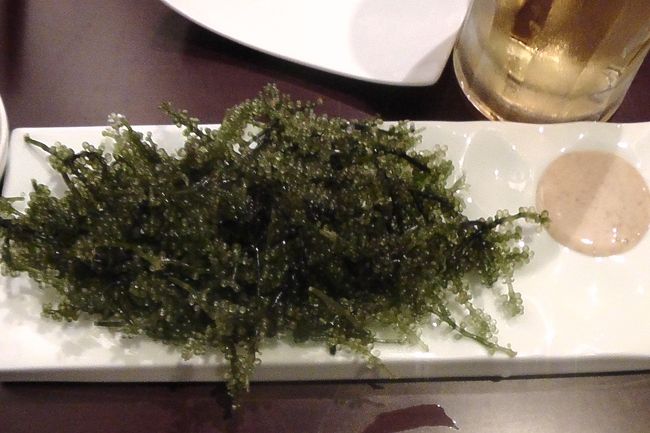 定番の海ブドウ<br />