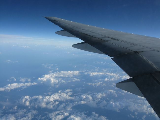 ハワイの時はひたすら海、朝焼け見忘れました。いつものことながら些細な事に腹を立ててしまい。食事の写真を撮り忘れました。