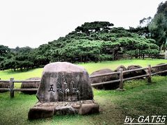 島を時計回りで1周開始(反時計回りだと景色が見れないらしい)。
まずは樹齢250年の五枝の松(ドラマチックモードで撮影)