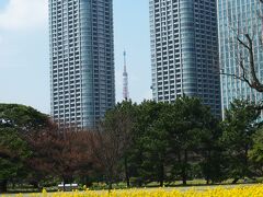 ビルの合間に東京タワー。

オフィスビルや東京タワーが見えるとホッとするのは何故でしょう・・（笑）

この後は、癒しを求めまったりスパで過ごすのでした・・。
